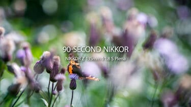 For Nikon Magazine's 90 NIKKOR articles